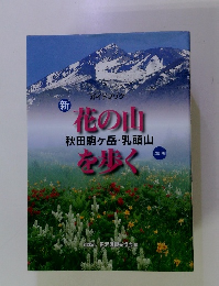 花の山を歩く