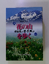 花の山を歩く