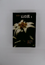 カラー山の花　1