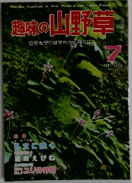 趣味の山野草　1981年7月　No.12