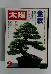 太陽　9月号　盆栽