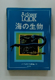A　closer LOOK　at　海の生物