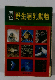 野生哺乳動物
