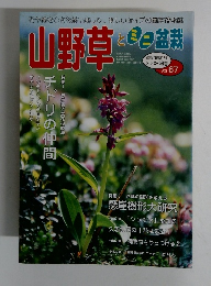 山野草とミニ盆栽　2008 陽春 VOL. 67