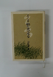 野火走る