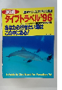 ダイブトラベル　1996年