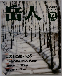 岳人　1992年12月号