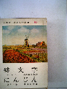 世界名作全集「10」緋文字　にんじん