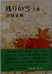 残りの雪 上