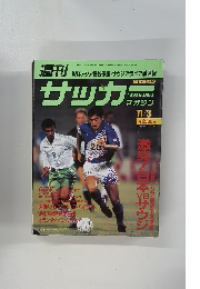 サッカーマガジン　1993年11/3号 NO.428