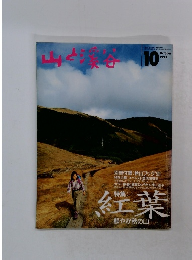 山と溪谷　１９９３年１０月