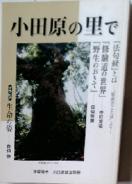 小田原の里で 浄瑠璃寺 小田原説法別冊