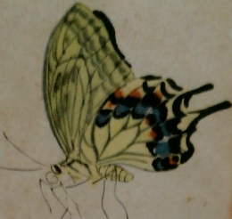 夏目漱石作品集　四