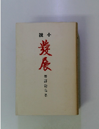 小説 発展