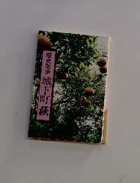 歴史散歩城下町