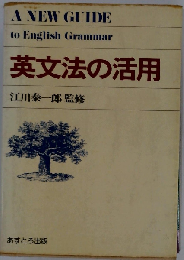 英文法の活用