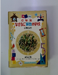 6年生なぜなに算数の学校