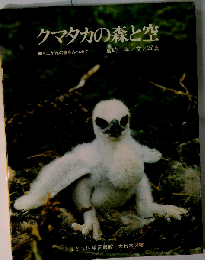 クマタカの森と空ーあこがれの鳥をみつめて