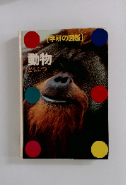 動物　どうぶつ