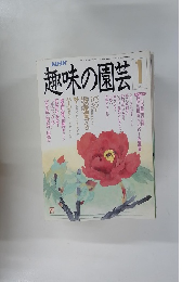 趣味の園芸　平成2年1月号
