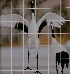 食べる 育つ 行動する　鳥　2