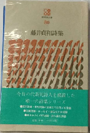 藤井貞和詩集80