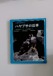 ハヤブサの四季伊藤正清・写真松田忠徳・文