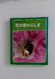 花の色のふしぎ