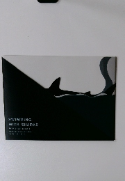 SWIMMING WITH SHARKS