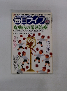 毎日ライフ　2003年10月号