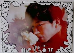 mellow