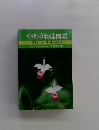 沖縄植物図鑑　9　 あかね科~らん科