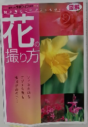 図解　花の撮り方　百万人の写真ライフ 別冊