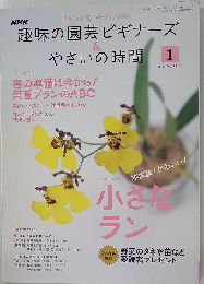 NHK 趣味の園芸ビギナーズ & やさいの時間 2009-1