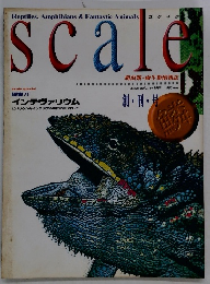 scale