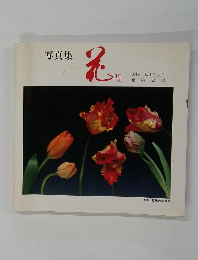 写真集　花　VI