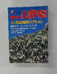 趣味の山野草　7月号