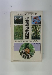 小笠原植物図譜