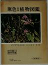 原色日本植物図鑑　草本編 [II]  離弁花類