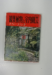 観葉植物と室内閣芸