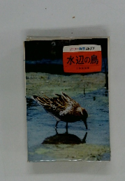 カラー自然ガイド 水辺の鳥