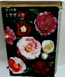 ツバキとサザンカ