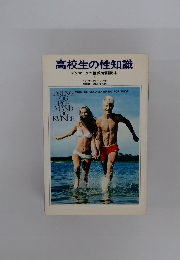 高校生の性知識