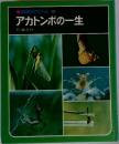 科学のアルバム　10　アカトンボの一生