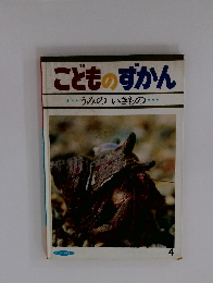 こどものずかん　うみのいきもの