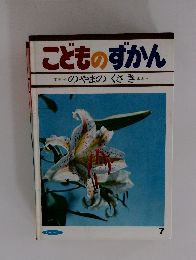 こどものずかん 7　のやまのさき