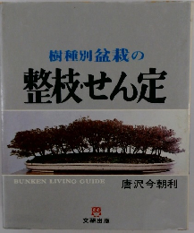 樹種別盆栽の整枝せん定
