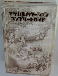 マジカルバケーショ コンプリートガイド