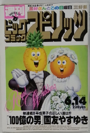 Big Comic Spirits 　1993年6/14号