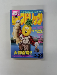 ビッグコミックスピリッツ　1993年5/24号